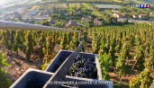 Vendanges sur des terrains escarpés : quand ramasser le raisin est un défi extrême - TF1