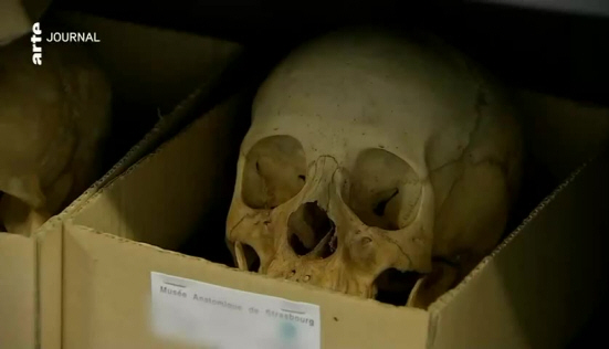 Des ossements africains en quête de mémoire -Arte