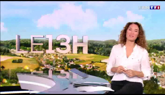 Une croisière à la belle époque, à toute vapeur sur le lac Léman - TF1